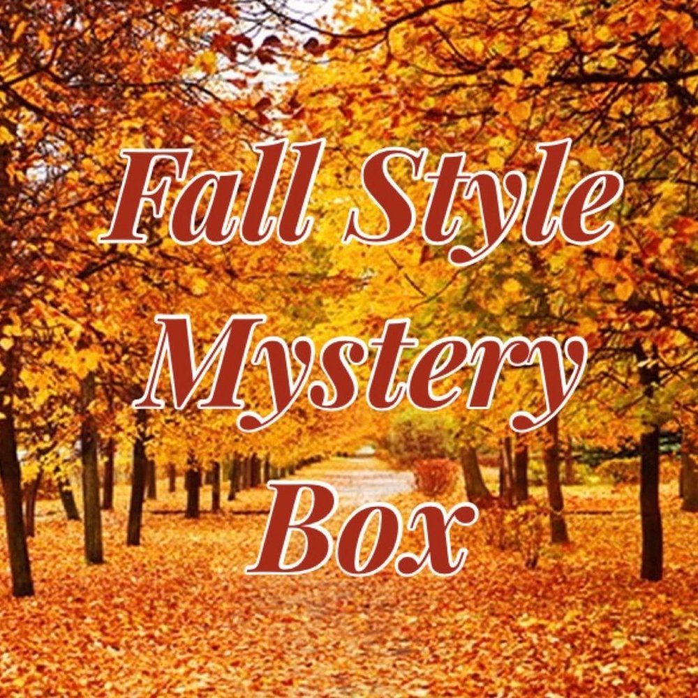 🍁 Fall Fashion 10 items 👚👖👢👠 Mystery Box 🍁🍁